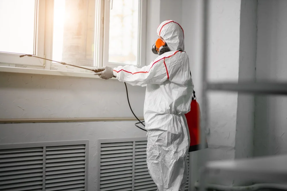 Professional mold remediation services in Hale, MO